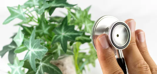 記事のサムネイル